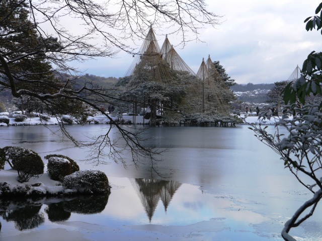 唐崎松