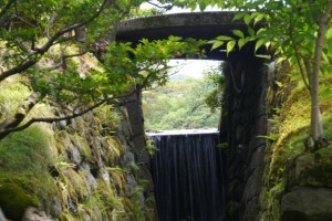 霞が池からの流水