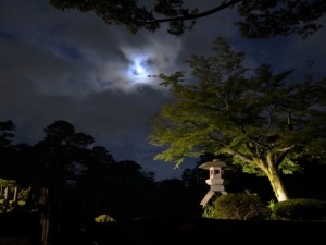 月夜の兼六園