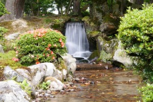 曲水の小滝