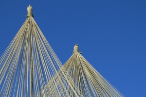 IMG_3456